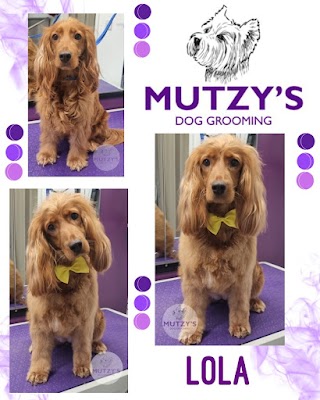 Mutzy's Dog Grooming