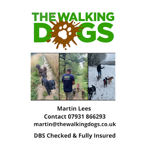 The Walking Dogs Halesowen