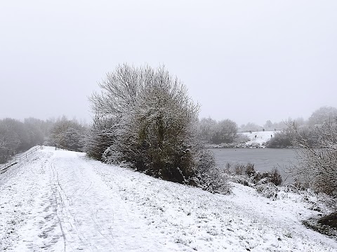 Blackleach Country Park