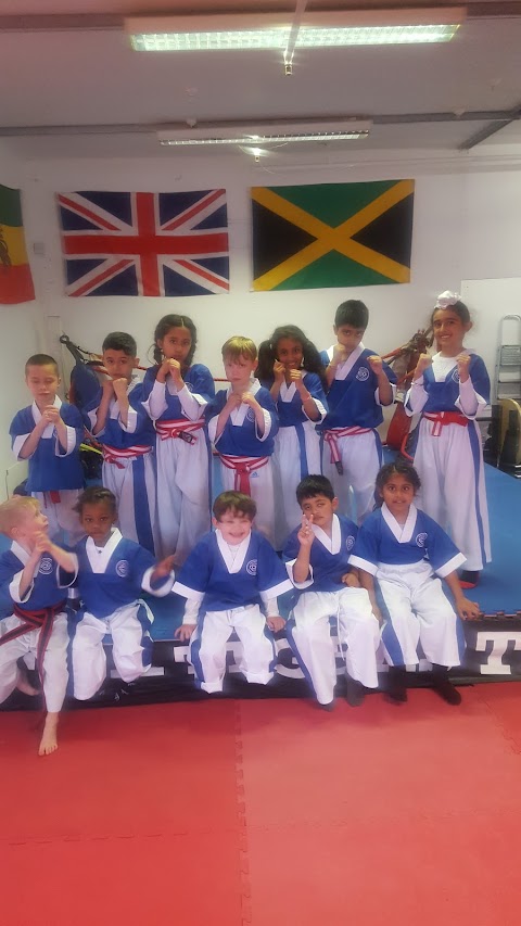 Oldbury and Tipton Tigers Martial Arts