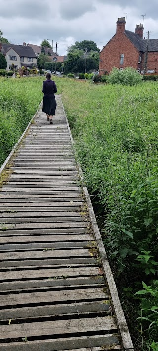 Kingsbury Meadow Local Nature Reserve