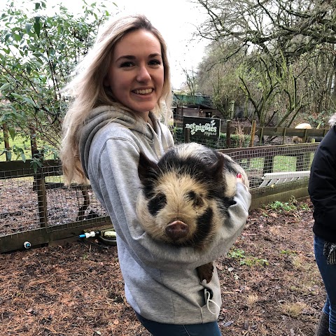 #pigzoo Petpiggies Mini Pig Encounters