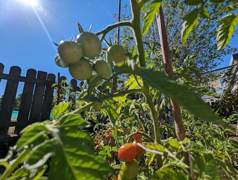 UEA Nursery