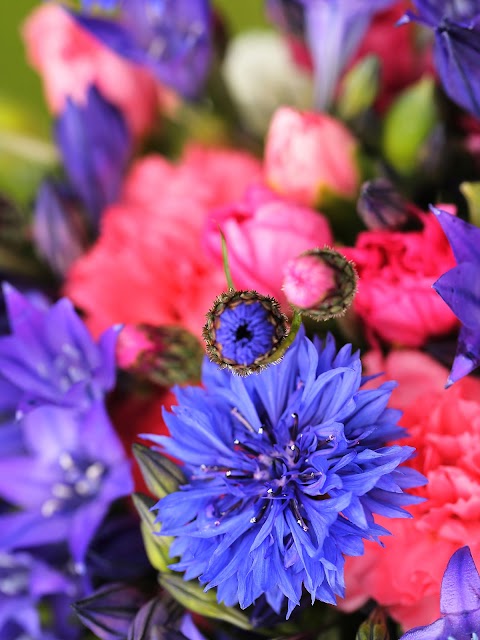 Cornish Blooms Flowers by Post