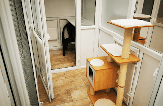 Amberlodge Boarding Cattery