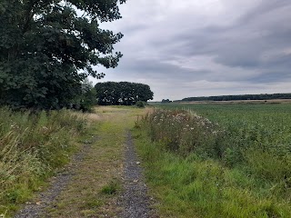 Brookhouse Farmhouse Dog Boarding Kennels