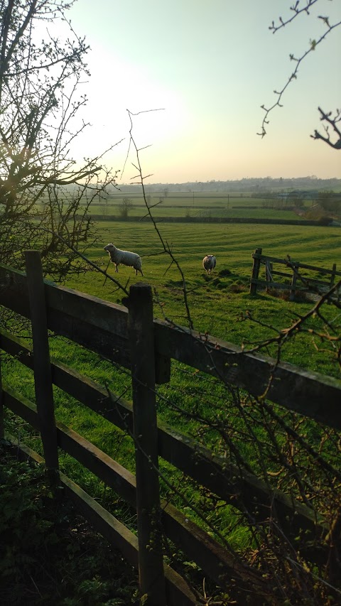 Debdale Grange Kennels and Cattery