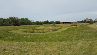 Beach Lawn