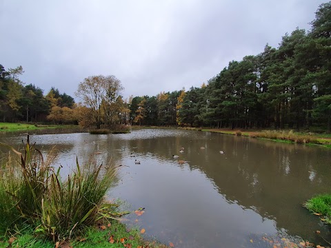 Braidwood Pond