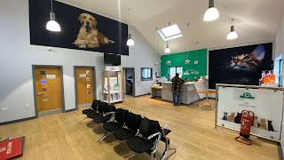 Northern Ireland Veterinary Specialists