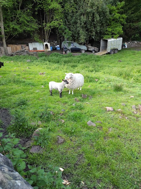 Glencote Caravan Park