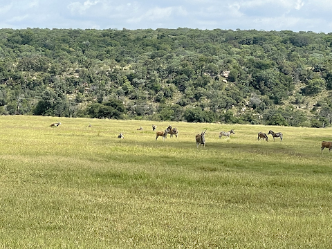 In The Saddle | Holidays on Horseback