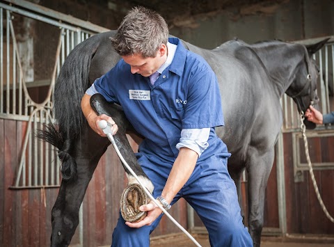 Royal Veterinary College Equine Practice and Referral Hospital