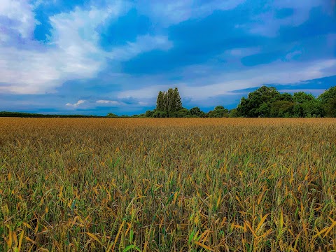 Titchfield Haven National Nature Reserve