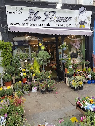 Mr Flower Gravesend