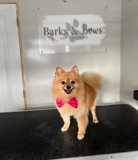 Barks & Bows Dog Grooming