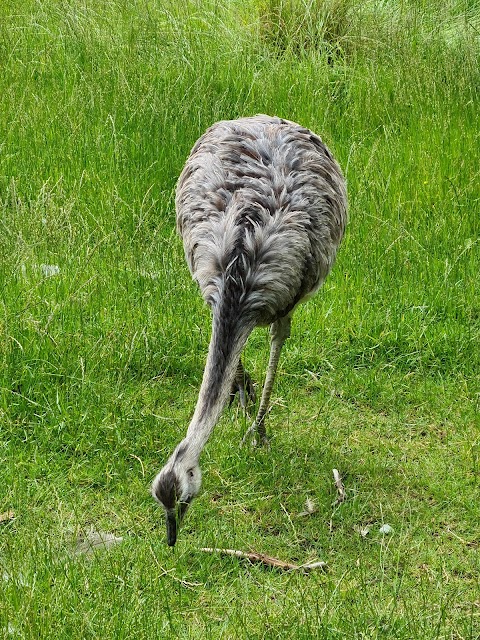 Camperdown Wildlife Centre