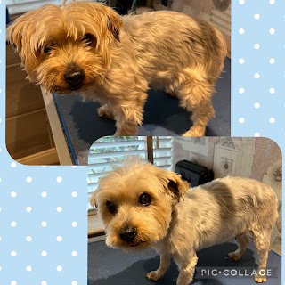 Woofs & Whiskers Dog groomers