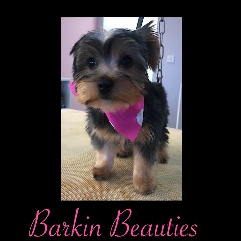 Barkin Beauties Boutique