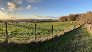 Hounds & Bounds, Woodland Walkies and Bark & Bound