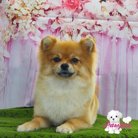 Pawfect Style Dog Grooming SPA