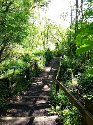 Decoy Country Park