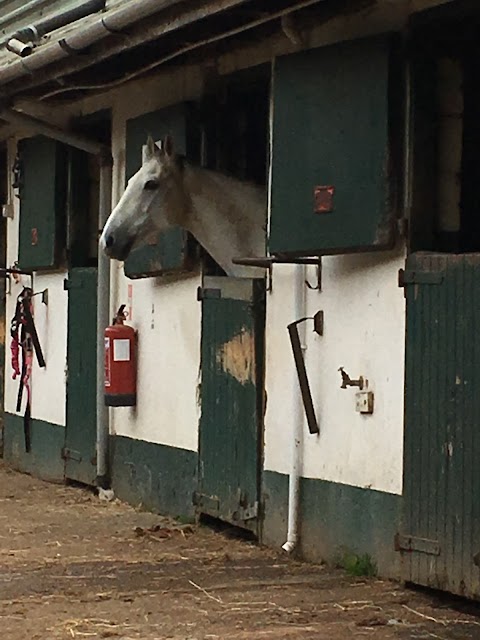 Downs-Side Riding and Livery Centre