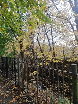 Huyton Wetlands