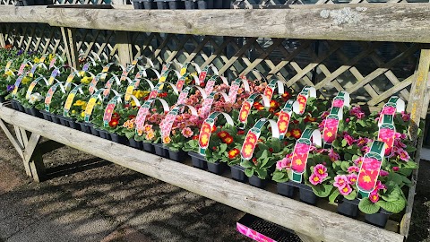 Loch Hills Plant Centre