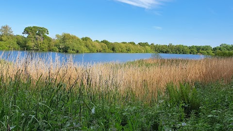 Blashford Lakes Nature Reserve