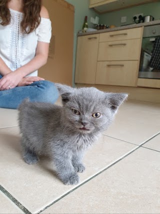 Ferring Street Veterinary Surgery