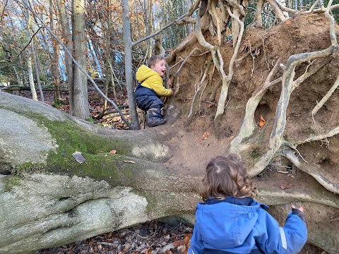 Forest Kindergarten Sevenoaks