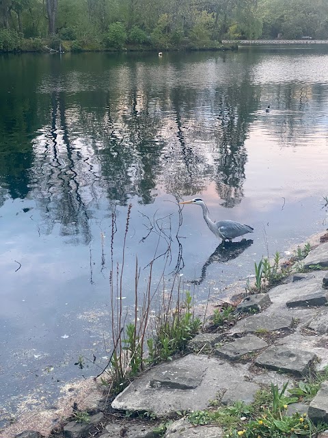 Rouken Glen Pond