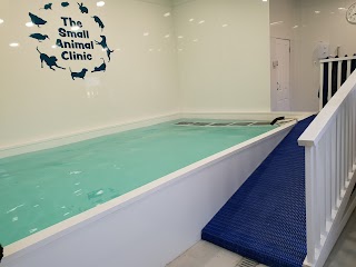 The Small Animal Clinic Canine Hydrotherapy and Animal Massage