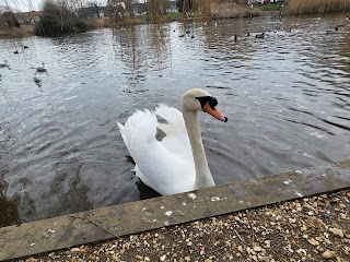 Baffins Pond