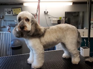 WoofCuts Dog Grooming award winning groomer