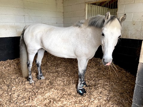 Oakham Veterinary Hospital