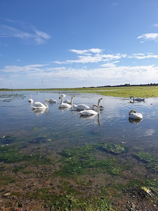 Nore Barn Woods. (Fowley Island- Emsworth)