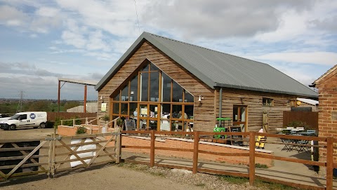 Bluebell Dairy Ice Cream Farm