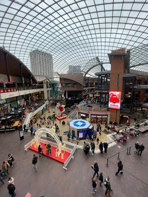 Typo Cabot Circus