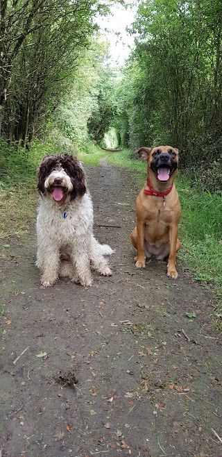 Lower Hortondale Kennels