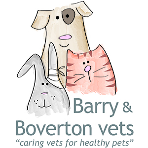 Barry Veterinary Centre - Boverton