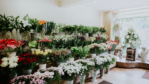 Seasons Florist Treforest Ltd