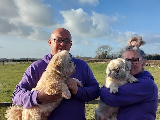 Leconfield Kennels & Cattery