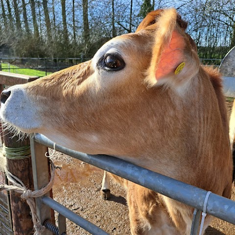 Walnut Tree Farm Park