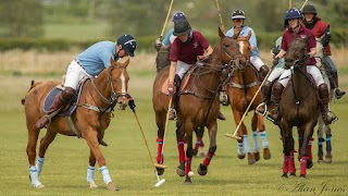 Stewarton Polo Club