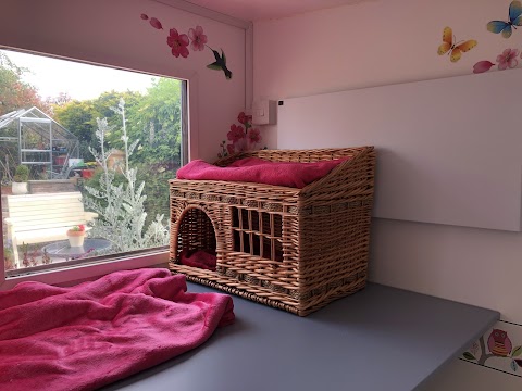 The Haven Luxury Cat Hotel