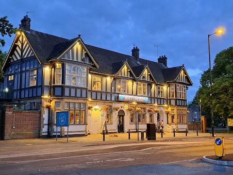 The Bull's Head