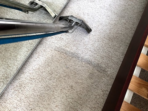 SG Carpet Cleaning