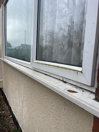 Williams Windows Exterior Cleaning